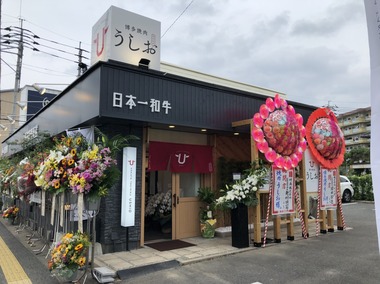 S__31473745.jpg