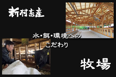 slider2-bokujo.jpg