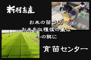 slider2-kome.jpg